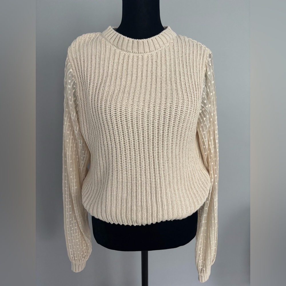 Zara Sweater with sheer sleeves